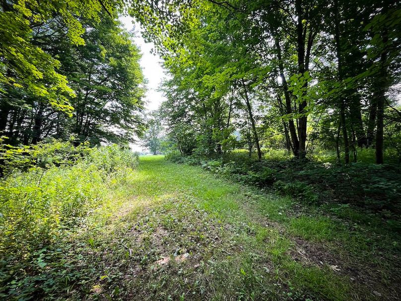 Oswego_21.25-Paro_Photos_17