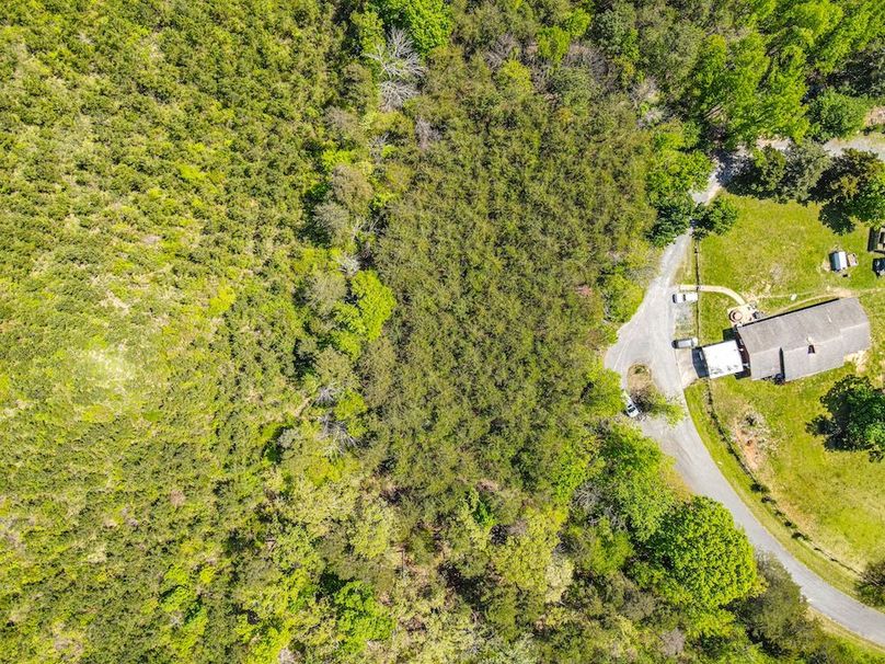 dji_fly_20250414_124940_350_1744649501298_photo