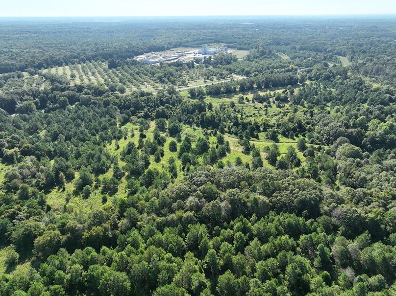 dji_fly_20240827_094938_723_1724766996011_photo