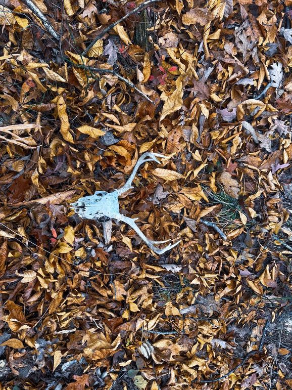 Ritchie, WV 100 AC Harper-54