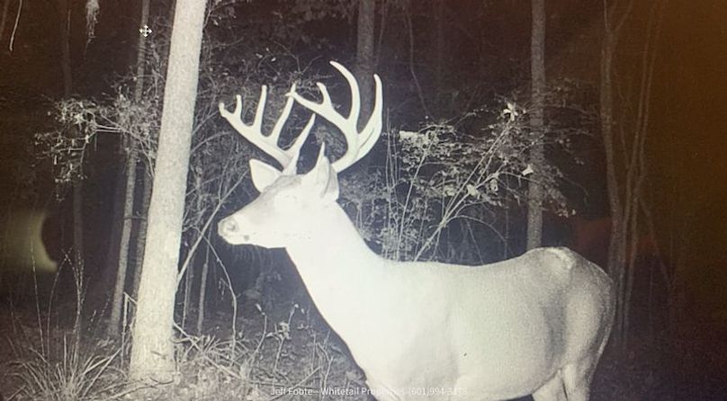 Hinds Co - 39.98 - M Beasley-27