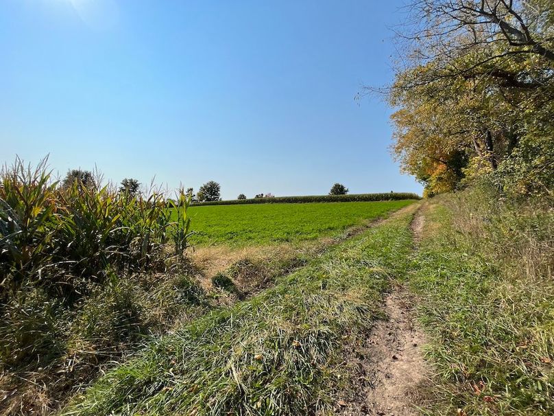 Yates_29_Stape Photo 38