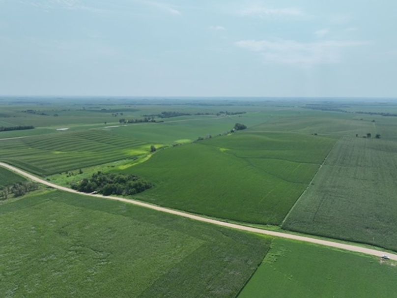 dji_fly_20250805_124942_373_1755697072224_photo