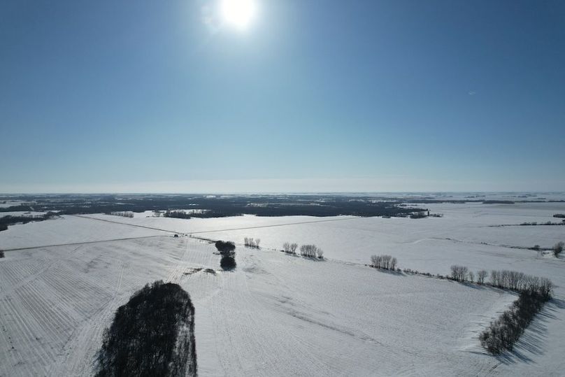 dji_fly_20260226_145318_88_1772139412994_photo