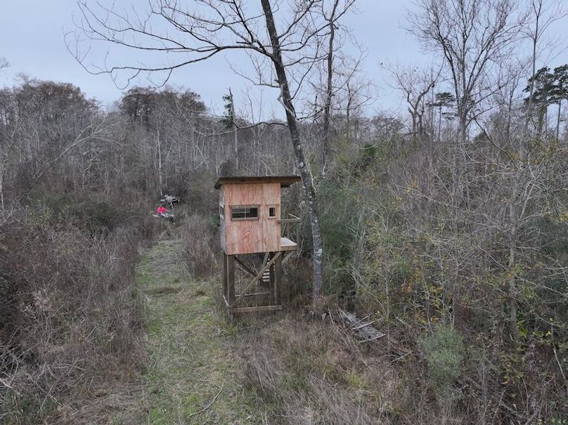 dji_fly_20260123_120644_0920_1769444785479_photo