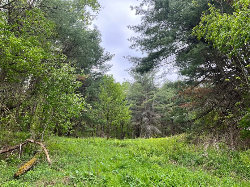 Tioga_18.72_Coulson Photo 1