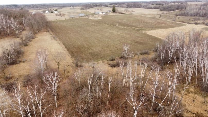 dji_fly_20240410_090342_290_1712758188522_photo_optimized