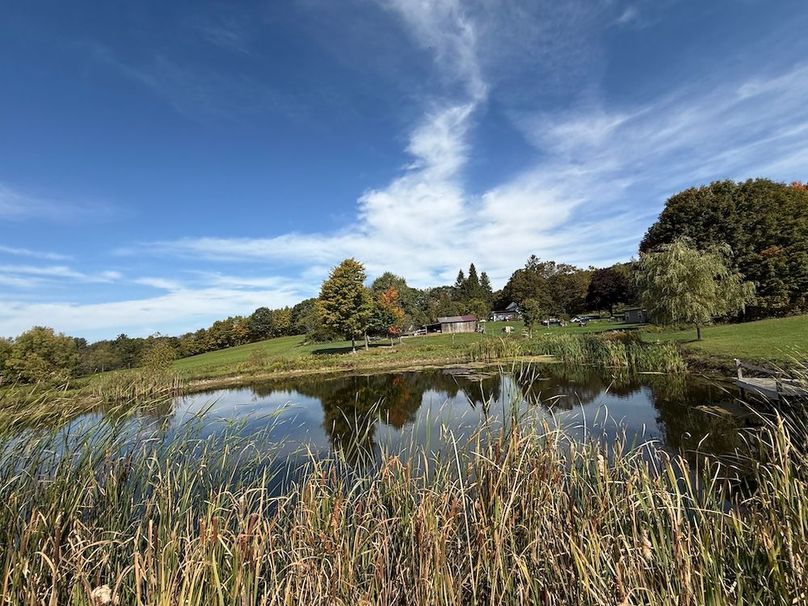 Cayuga_55.02_Herman Photo 10