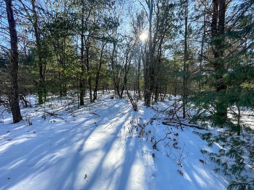 Adams 25, Nessler -46