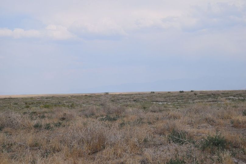 DSC_0280