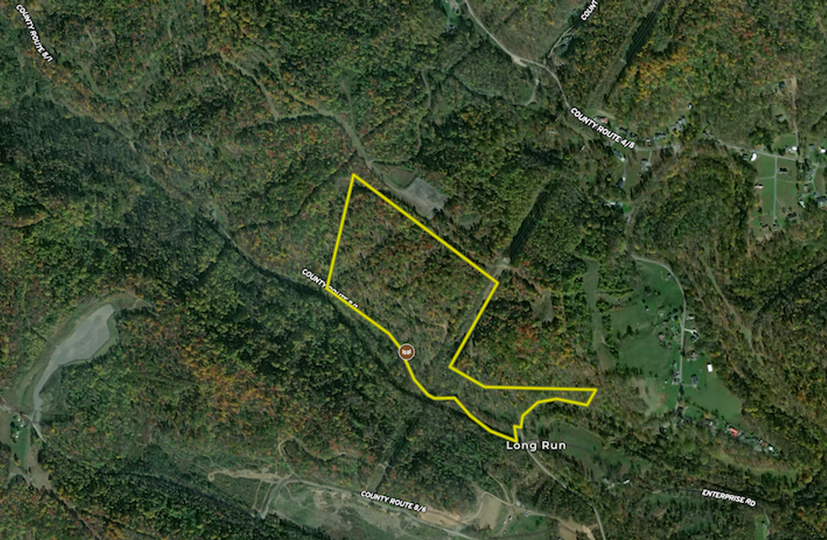 Screenshot 2025-08-11 at 9.39.13 AM