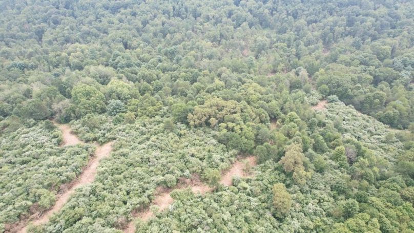 dji_fly_20250806_140818_590_1754530436148_photo