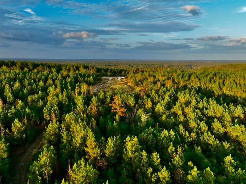 5AF81D05-CC9D-43B9-B87D-1353B6139E89_1_105_c