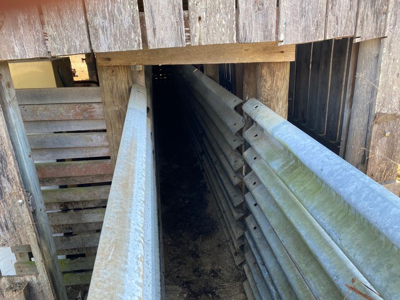 041 chutes leading the cattle into the barn to be worked copy