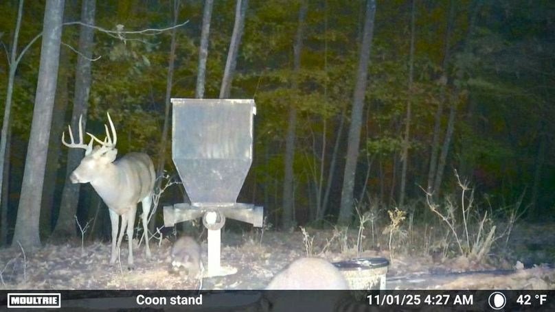 Fleming Petry 120-043