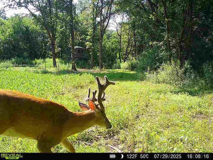 860516064223062-100-4-07292025160816-W1004878