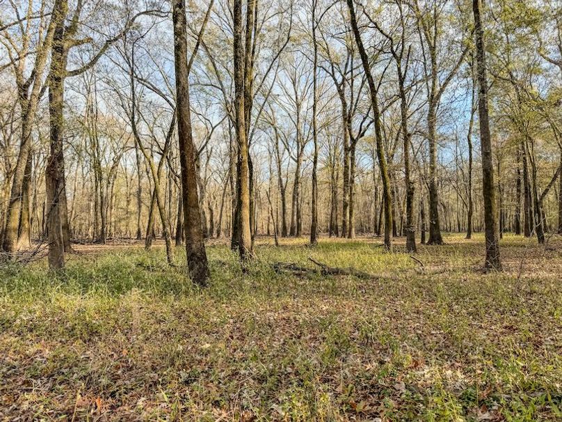 St. Francis 216.9 Calvin Parker Farms Profile -27