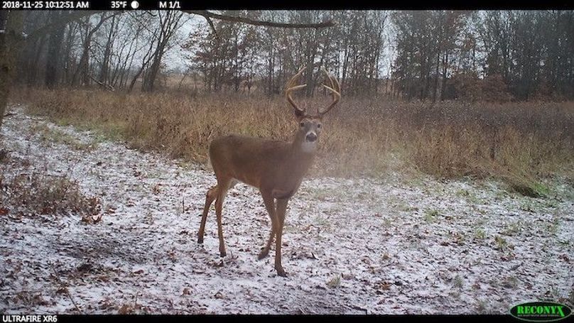 2018-11-25 10-12-51 M 1_1