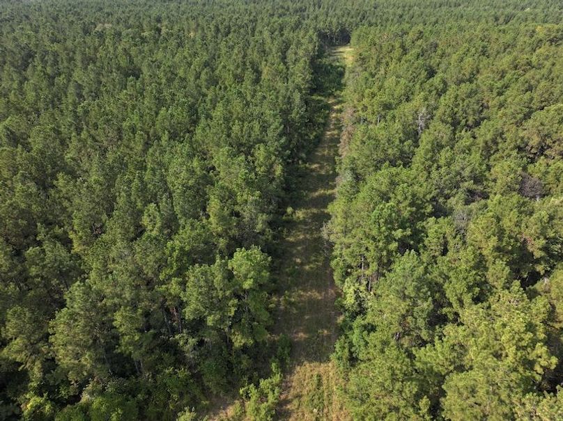 dji_fly_20250915_161242_0483_1758029008521_photo