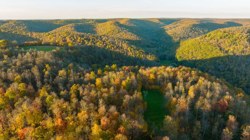 Elk PA 7000 Feature_Pro Photo-158