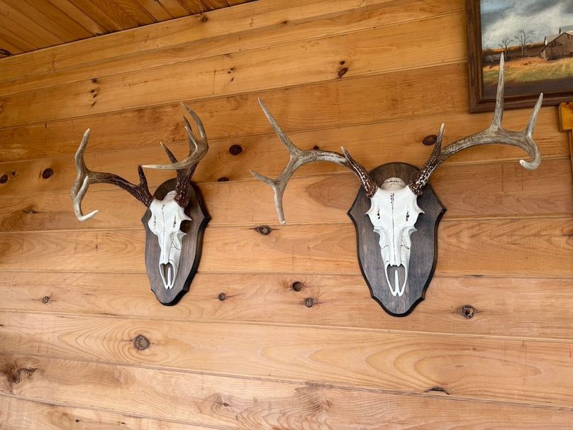 Chemung_184.12_Sterling 11