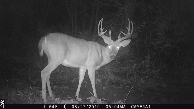 Sauk 174 Trailcam - 69