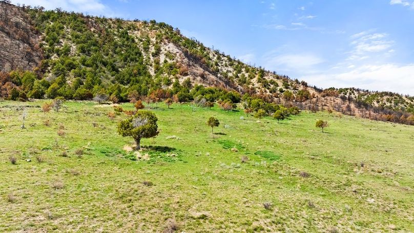 DJI_20260413152236_0113_D_1