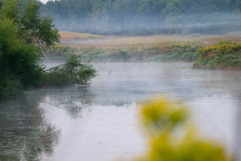 Cedar IA 152 Featured Z40