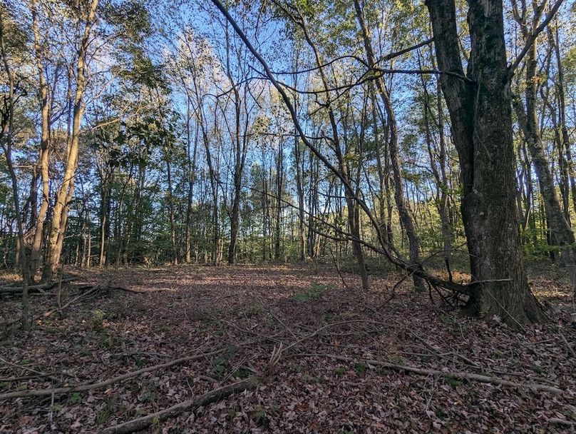 PXL_20251001_214740637