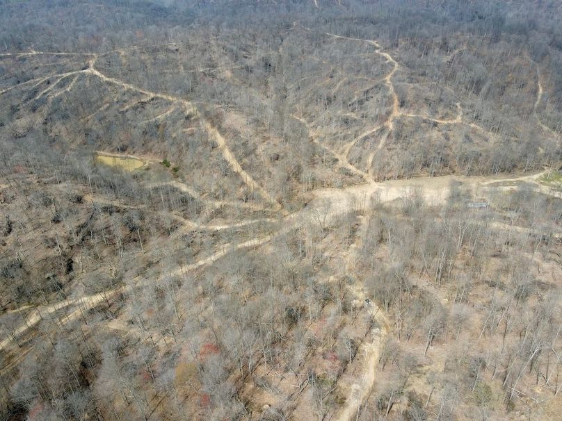 1dji_fly_20240329_124922_551_1711730979507_photo