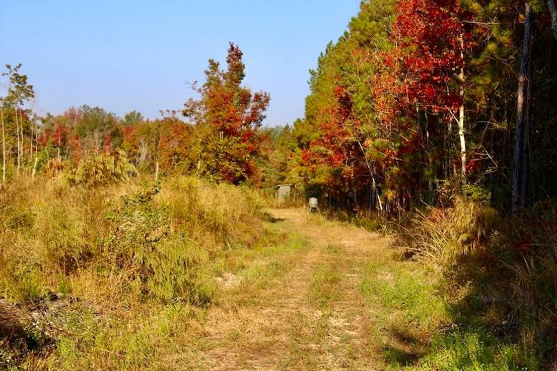 A573E76B-F0A8-4042-999E-C5EAFD5899E1_1_105_c