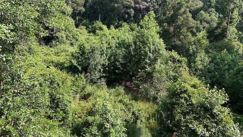 DJI_20250627094227_0086_D