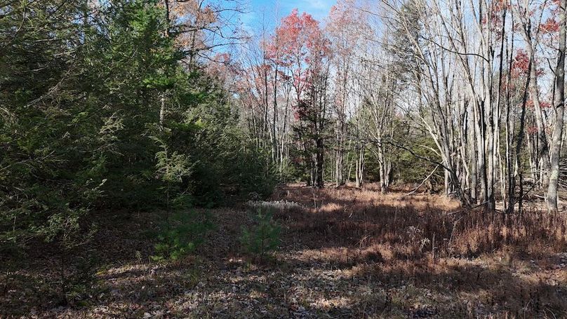 DJI_20251105104939_0023_D