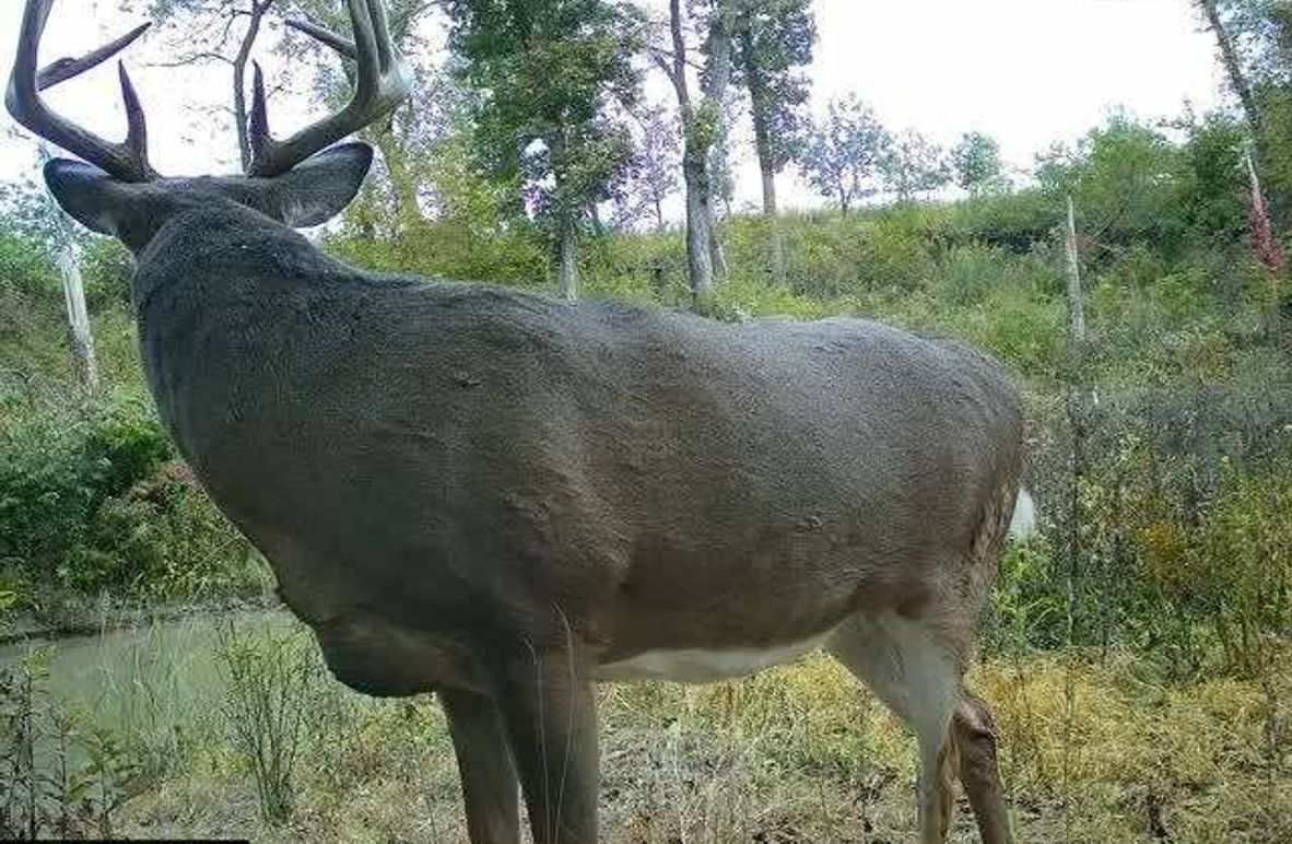 476497285_1637648880456178_829067720153983604_n