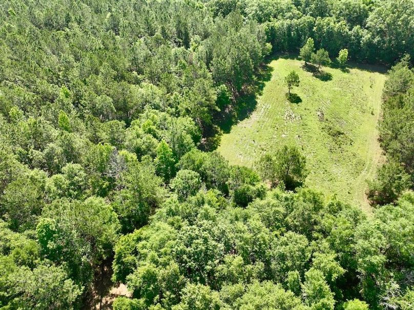 dji_fly_20260514_103130_699_1778769333974_photo