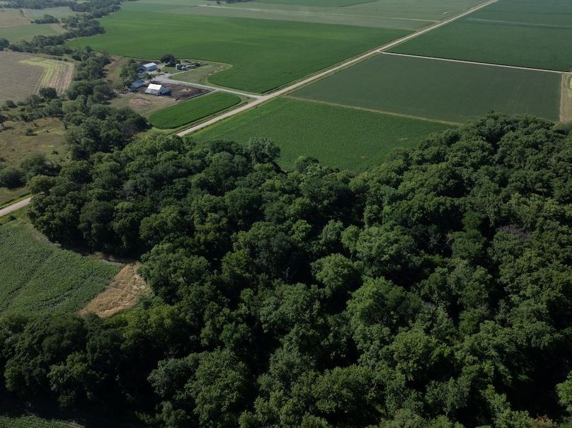 20240624-DJI_20240624092709_0029_D