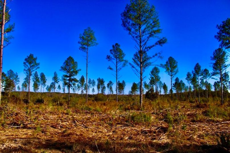 32C9C371-6125-4FC7-B950-8E26FDD9A71D_1_105_c