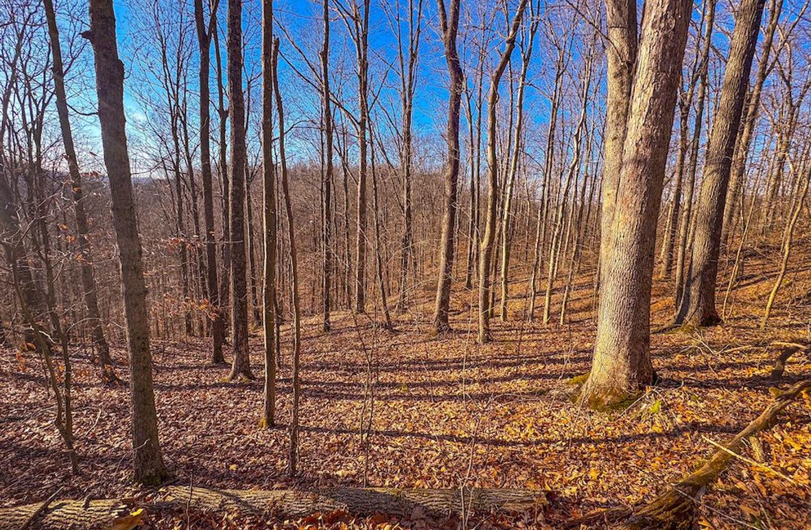 Lewis, WV 82.87 AC Barger-04