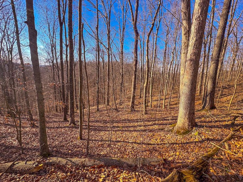 Lewis, WV 82.87 AC Barger-04