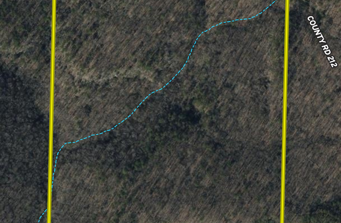 Screenshot 2025-11-21 at 10.24.23 AM