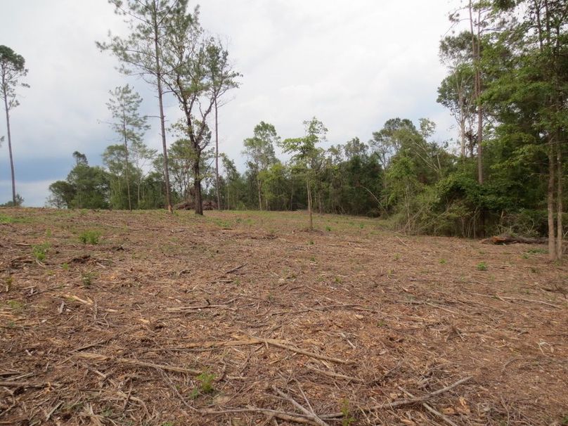 0F1E15CA-68C6-4083-AD81-A017D791A07A_1_105_c