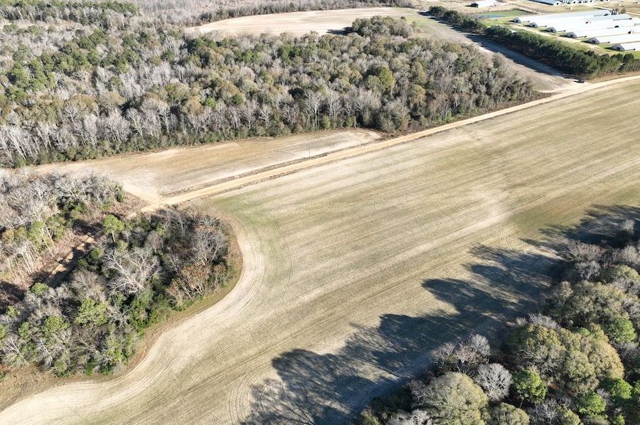 dji_fly_20250114_153436_165_1736886967868_photo