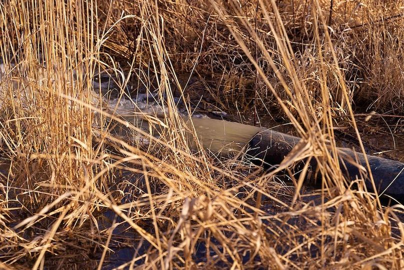 Copy of 22 Platte MO 225 Tract 1