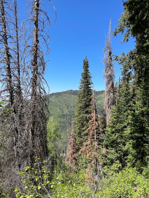 10 photo sanpete 795