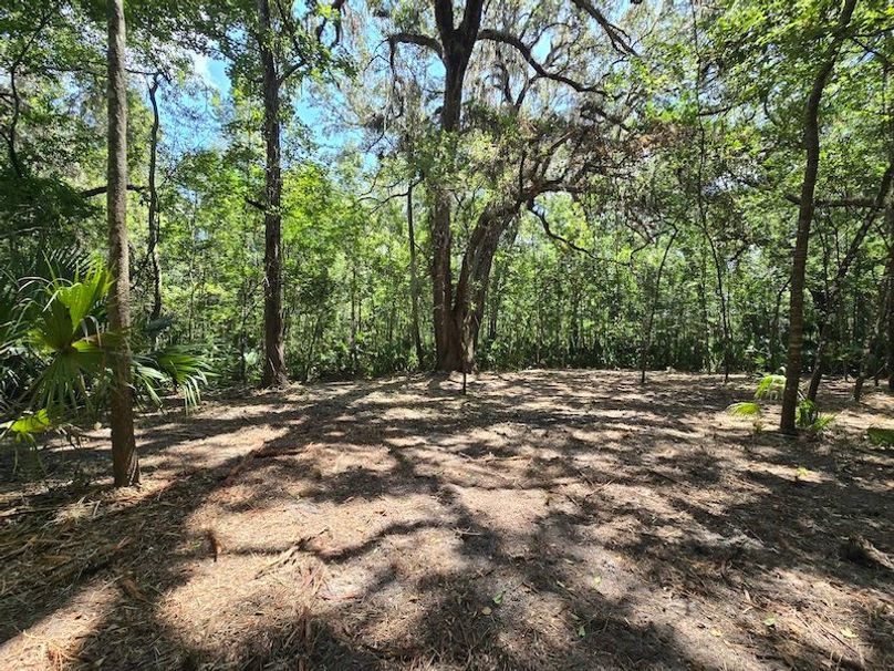 1.01ac, Citrus, Josiah Ronco10