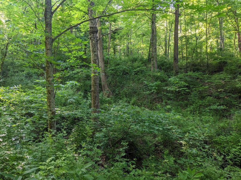 PXL_20230602_131132779