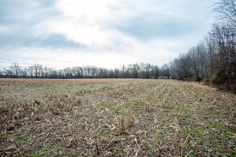 Copy of DSC00743 Large