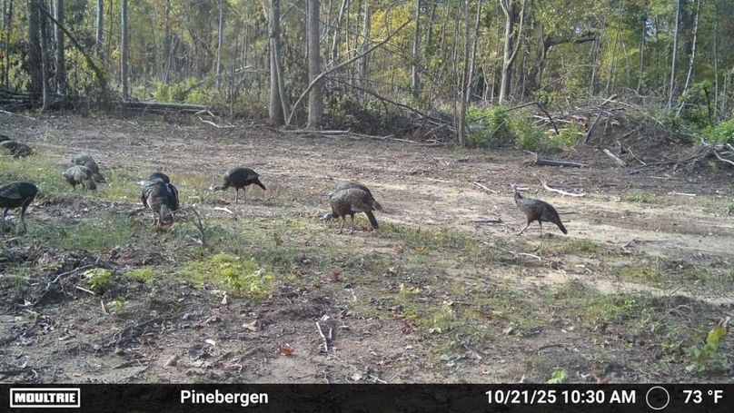 2365951-20251021212146-100MFCAM_MFDC2156