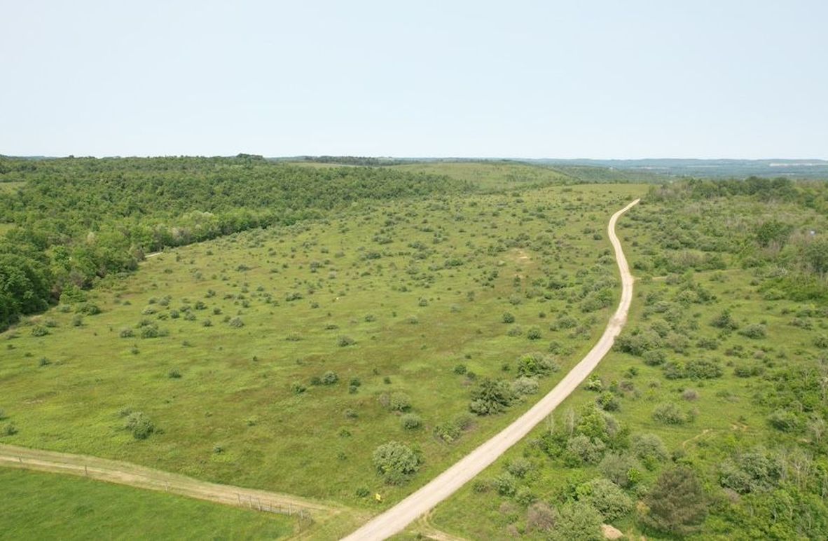 dji_fly_20250602_111322_264_1748877846678_photo