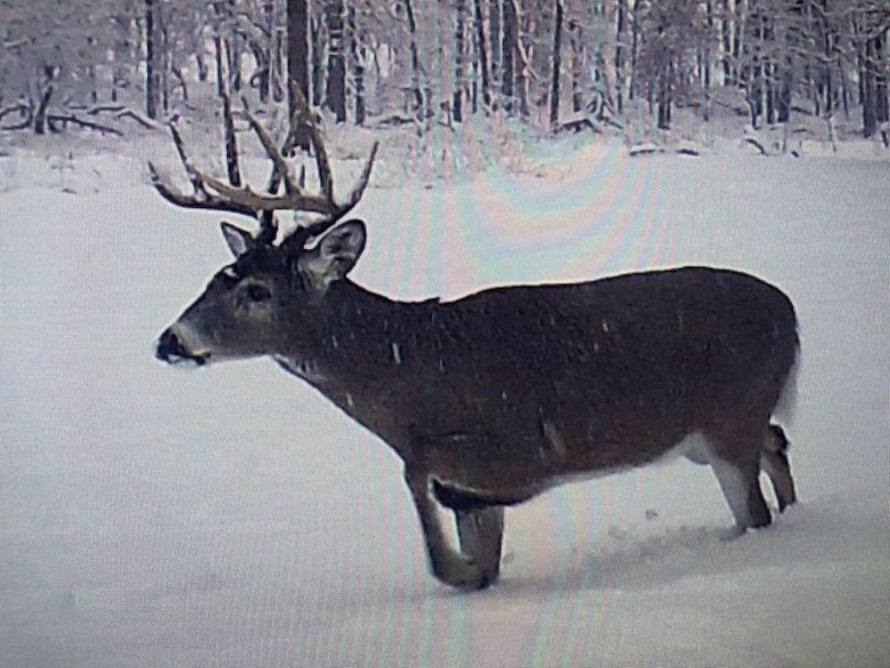 57157388153__EB8FFB00-A2E2-4D35-A9B7-6CE8F3850C15